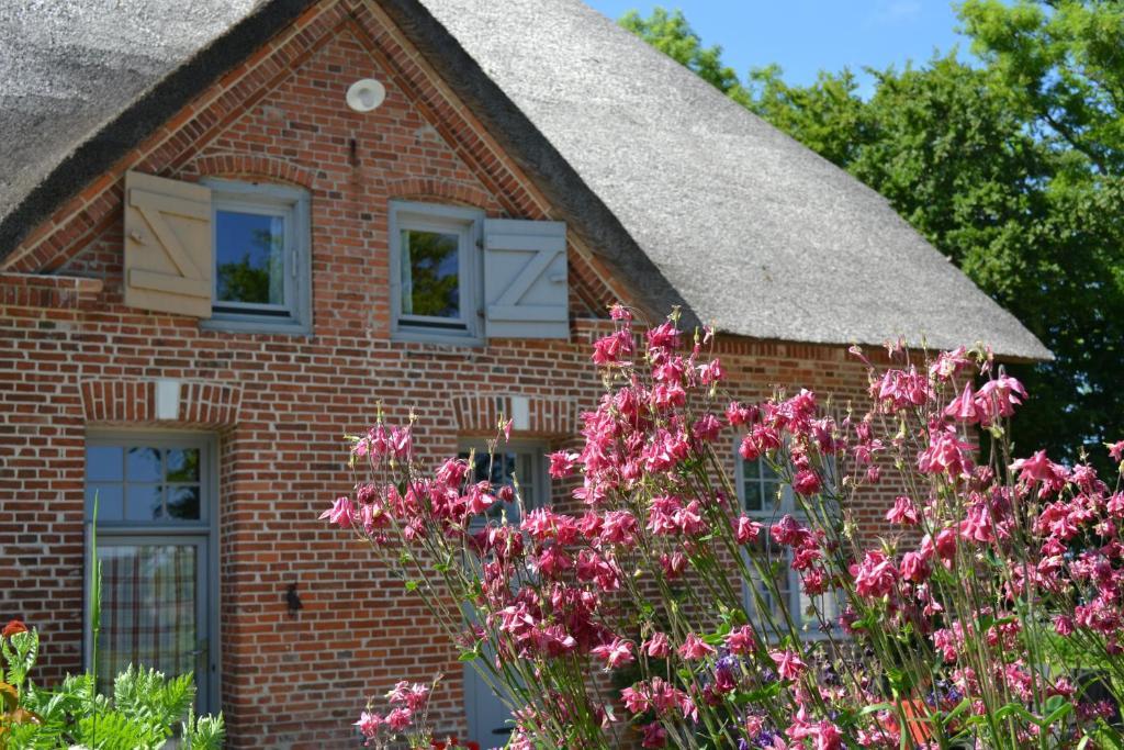 Appartement Golden Tuffel Hohwacht